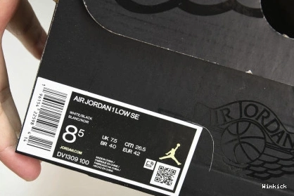 DV1309-100 Jordan Concord SE 1 Low 1016